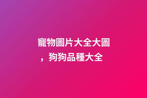 寵物圖片大全大圖，狗狗品種大全(帶圖片)